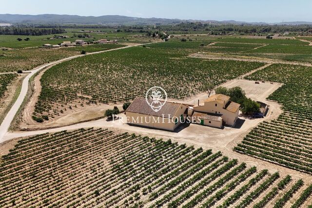 Ferme avec vignes dans l'Alt Penedés