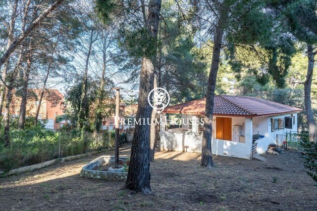 Casa en La Mora amb jardí boscós